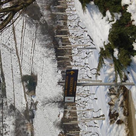 Agriturismo Ai Piacentini Санто Стефано Белбо Екстериор снимка