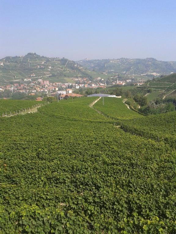 Agriturismo Ai Piacentini Санто Стефано Белбо Екстериор снимка