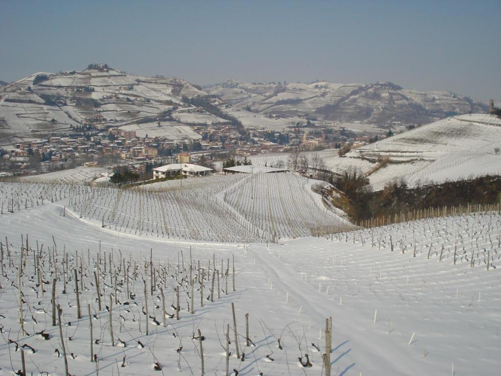 Agriturismo Ai Piacentini Санто Стефано Белбо Екстериор снимка